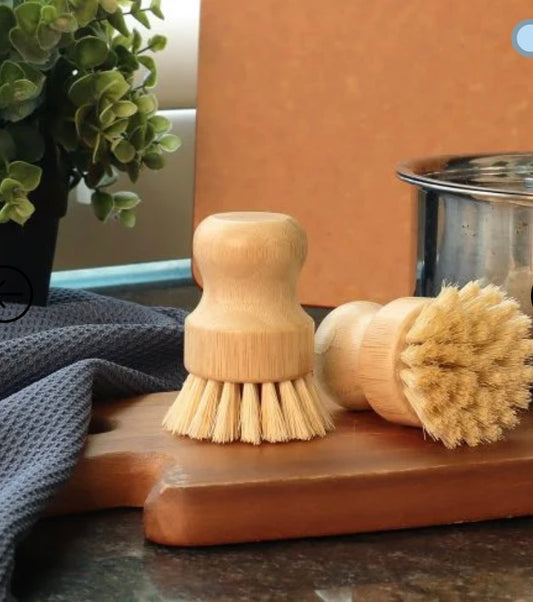 Eco Pot Scrub Brush $8.75